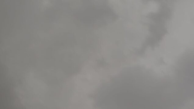 IMG-20260331-WA0138.jpg