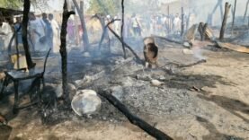 Incendie à Bol : des infrastructures clés détruites, retour à la normale compromis