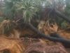 IMG-20260507-WA0056.jpg