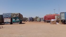 Le Cameroun consolide sa position de premier partenaire commercial du Tchad.