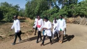 Des étudiants en biologie de l&rsquo;université d&rsquo;Ati explorent les abeilles pour une recherche innovante sur le terrain