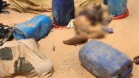 Niger : 49 morts de soif près de la frontière algérienne