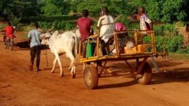 Enfants dans les champs : le travail forcé