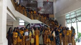 Tchad : Impact Ladies dynamise IA et inclusion féminine