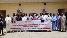 Formation à la budgétisation genrée pour les acteurs locaux du Lac