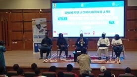 Pour la paix au Tchad : atelier jeunes et société civile