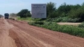 Route N&rsquo;Djamena-Dandi : alerte à la dégradation !