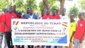 Crise agricole au Tchad : l&rsquo;AJDAP appelle à l&rsquo;urgence