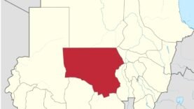 Crise humanitaire au Nord-Kordofan : situation critique