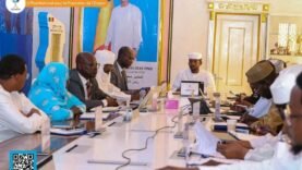 Tchad : Bilan et Perspectives de l&rsquo;ONAPE en Réunion Mensuelle