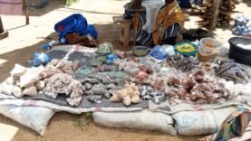 N&rsquo;Djamena : les commerçantes de Toukra face au droit de place