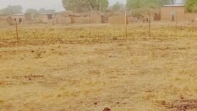 Tchad : violences intercommunautaires au Batha, six morts et dix