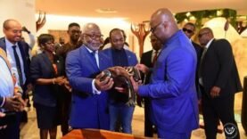 Visite inspirante de Tshisekedi à la Zone Industrielle de Nkok