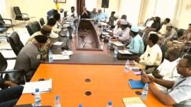 Comité interministériel au Tchad : l&rsquo;État renforce sa position