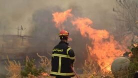 Solidarité malienne face aux incendies en Algérie