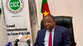 Cameroun : préparation en vue pour sauver le cacao face