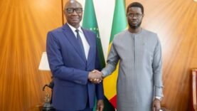 Bassirou Diomaye Faye rencontre le président de la CEDEAO