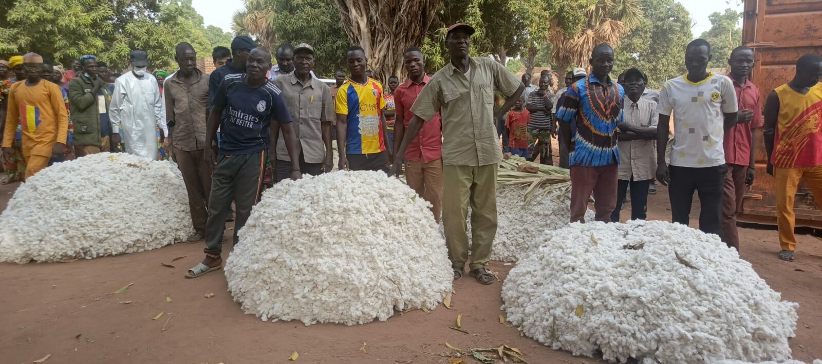 Chute de la Production de Coton en Zone CFA