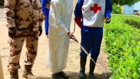 Pulvérisation anti-vectorielle lancée à N&rsquo;Djaména