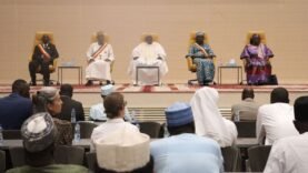 Transition numérique au Tchad : le CESCE propose des recommandations