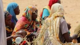 Microfinance au Tchad : moteur de développement ou illusion