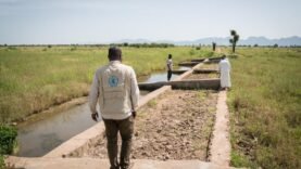 L&rsquo;ONU honore le PAM et ses partenaires pour la restauration