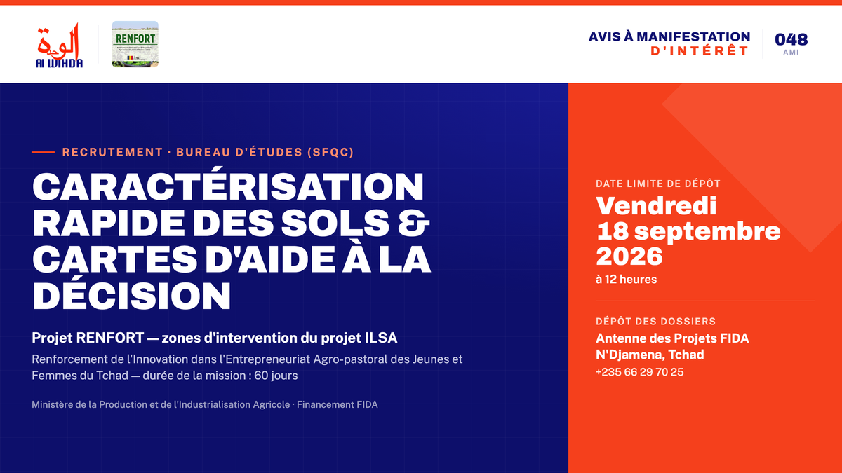Visuel-Bandeau-AMI-Projet-RENFORT-1.png