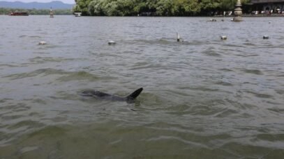 West-Lake-in-Hangzhou.jpg