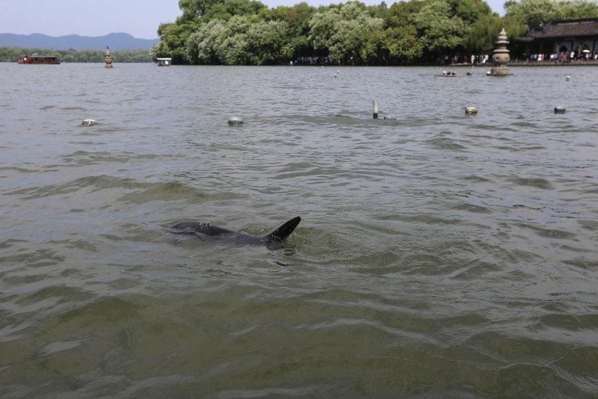 West-Lake-in-Hangzhou.jpg