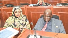 Tchad : MPS applaudit la grâce présidentielle
