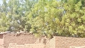 Logement à N&rsquo;Djamena : des loyers écrasants pour les jeunes ménages