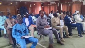 Atelier sur l&rsquo;agriculture et réfugiés à Abéché