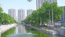 Progrès de la gouvernance écologique en Chine avec un nouveau code