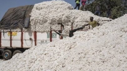 coton-tchad.jpg