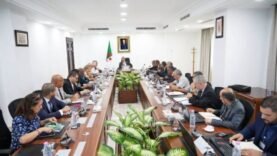 Alger intensifie sa coopération énergétique avec l’Afrique, y compris