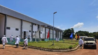 gata32b1.jpg