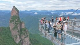 22,91 millions de visites : Pourquoi les voyageurs du monde entier