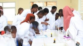 Médecine au Tchad : besoins vs. qualité