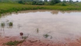 Eaux usées dans les carrières : la colère des habitants du Tchad