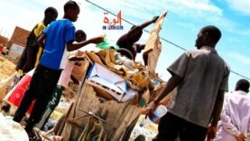 N&rsquo;Djamena : les déchets, une survie pour les plus pauvres