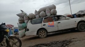 N&rsquo;Djamena : chute des prix de l&rsquo;arachide, une bonne nouvelle