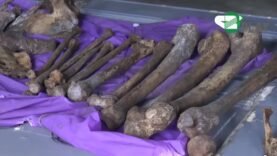 Douala : arrestation d&rsquo;un homme avec des ossements humains