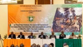 Côte d&rsquo;Ivoire : les préfets unis contre l&rsquo;orpaillage illégal en six