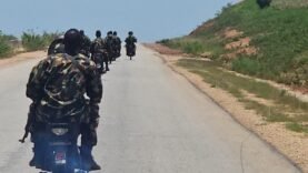 Nigeria : l&rsquo;armée récupère plus de 500 bêtes volées à Kaduna