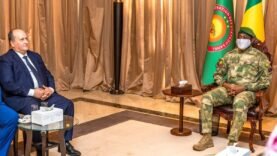 Visite à Bamako : Le Premier ministre algérien en tête-à-tête