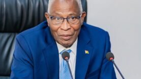 Grand corridor de Guinée : un projet chinois ambitieux présenté