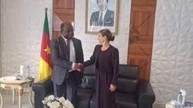 Cameroun-UE : le ministre du Commerce prône les investissements