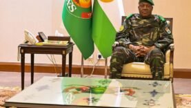 Soutien au Niger : Délégation ministérielle à Niamey