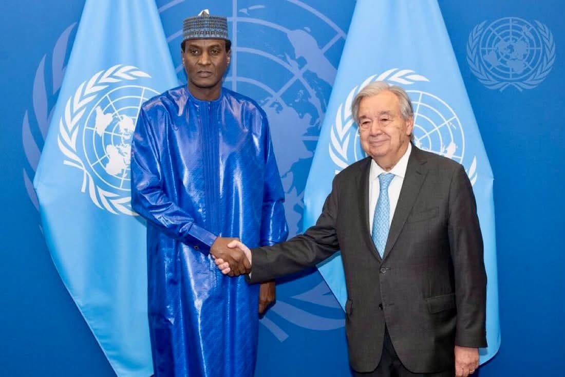 Niger : Rencontre entre Ali Mahamane Lamine Zeine et António Guterres
