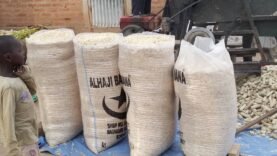 Tchad : exonération de taxes sur aliments et équipements agricoles